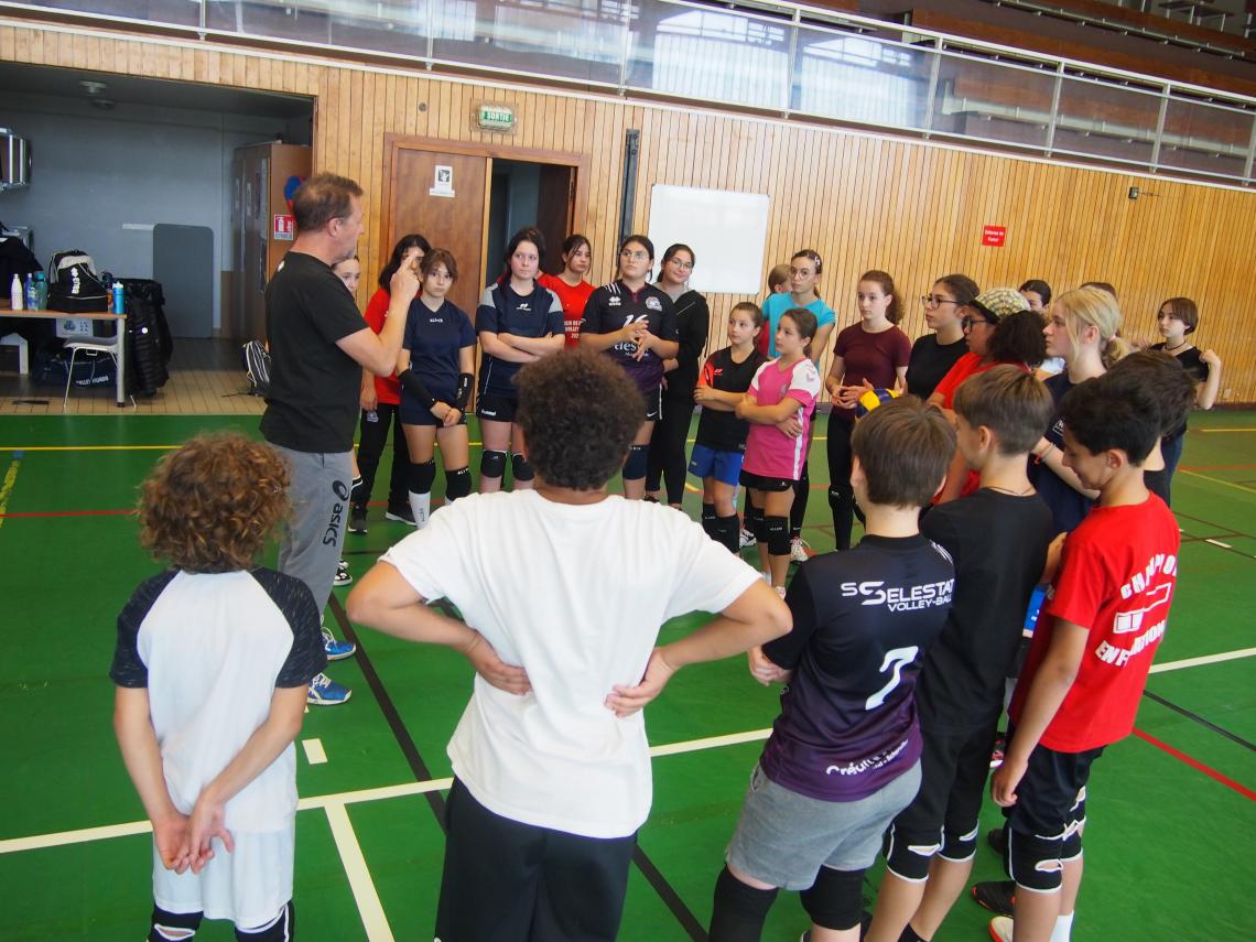 Répartition des 3 groupes